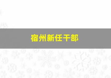 宿州新任干部