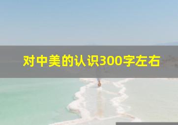 对中美的认识300字左右