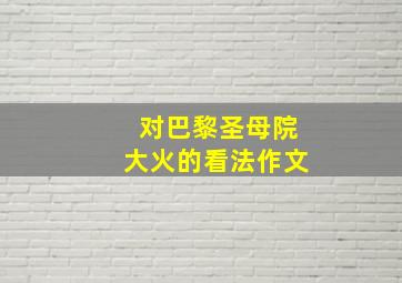 对巴黎圣母院大火的看法作文