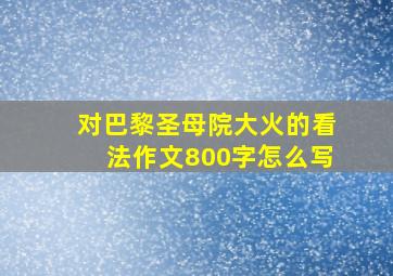 对巴黎圣母院大火的看法作文800字怎么写