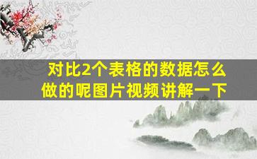 对比2个表格的数据怎么做的呢图片视频讲解一下