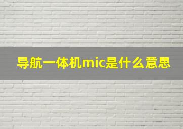 导航一体机mic是什么意思