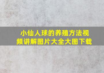 小仙人球的养殖方法视频讲解图片大全大图下载