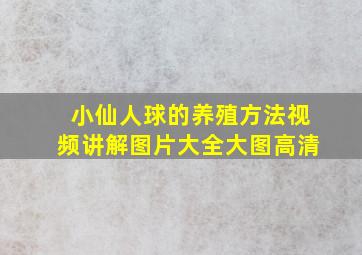 小仙人球的养殖方法视频讲解图片大全大图高清