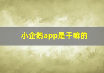 小企鹅app是干嘛的