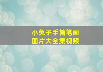 小兔子手简笔画图片大全集视频