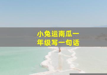 小兔运南瓜一年级写一句话