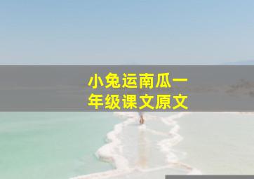 小兔运南瓜一年级课文原文