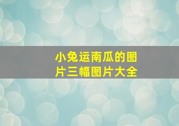 小兔运南瓜的图片三幅图片大全