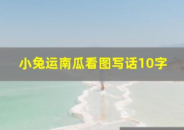 小兔运南瓜看图写话10字