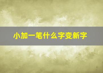 小加一笔什么字变新字