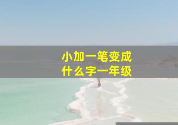 小加一笔变成什么字一年级