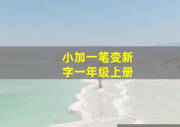 小加一笔变新字一年级上册