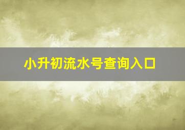 小升初流水号查询入口