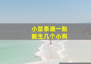 小型泰迪一胎能生几个小狗