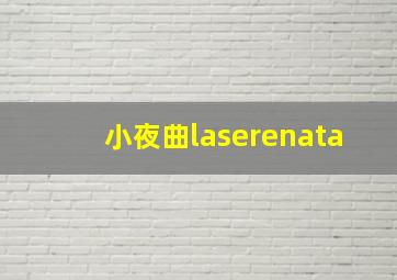 小夜曲laserenata