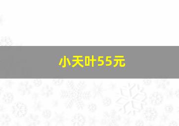 小天叶55元