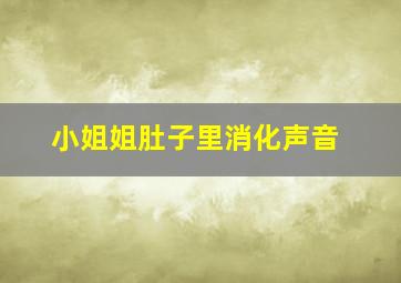 小姐姐肚子里消化声音