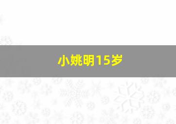 小姚明15岁