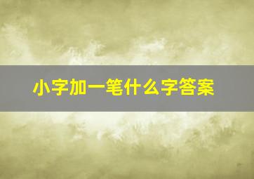 小字加一笔什么字答案