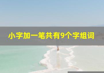 小字加一笔共有9个字组词