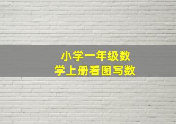 小学一年级数学上册看图写数