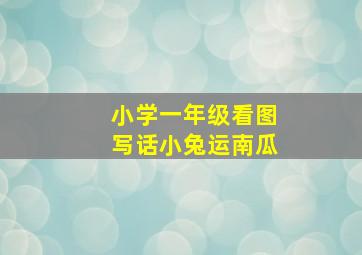 小学一年级看图写话小兔运南瓜