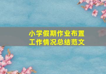 小学假期作业布置工作情况总结范文