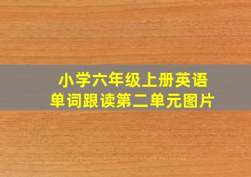 小学六年级上册英语单词跟读第二单元图片