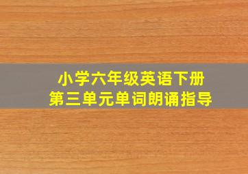 小学六年级英语下册第三单元单词朗诵指导