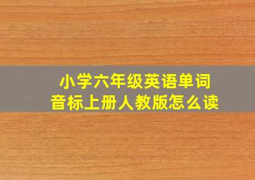 小学六年级英语单词音标上册人教版怎么读