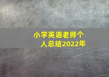 小学英语老师个人总结2022年