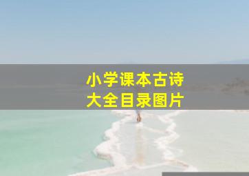 小学课本古诗大全目录图片