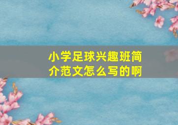 小学足球兴趣班简介范文怎么写的啊