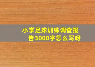 小学足球训练调查报告3000字怎么写呀