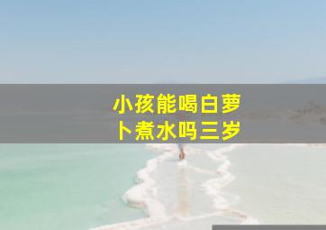 小孩能喝白萝卜煮水吗三岁