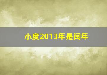 小度2013年是闰年