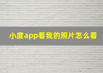 小度app看我的照片怎么看