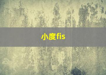 小度fis