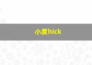 小度hick