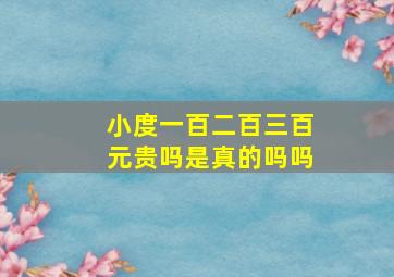 小度一百二百三百元贵吗是真的吗吗