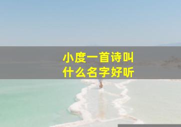 小度一首诗叫什么名字好听