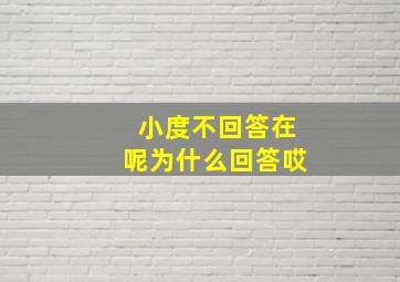 小度不回答在呢为什么回答哎