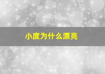 小度为什么漂亮