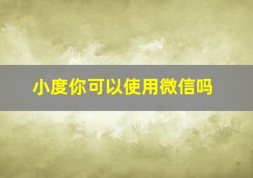 小度你可以使用微信吗