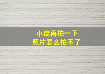 小度再拍一下照片怎么拍不了