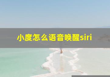 小度怎么语音唤醒siri