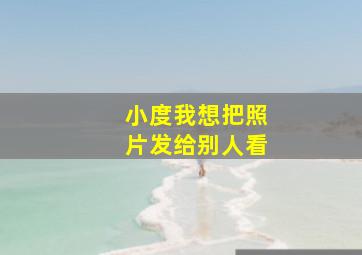 小度我想把照片发给别人看