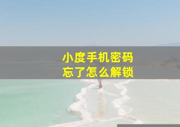 小度手机密码忘了怎么解锁