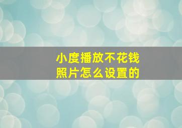 小度播放不花钱照片怎么设置的